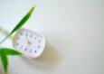 A small minimalist analogue clock beside a green plant on a calm cream background, suggesting the rhythm of regular massage