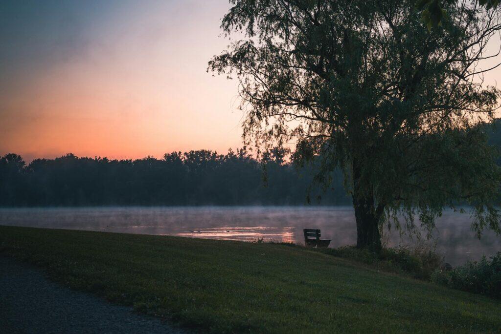 A serene misty lake at dawn with a lone bench under a willow tree, evoking the calm of a wellness day in St Albans