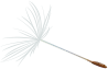 Decorative flower graphic